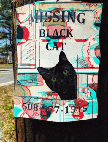 michaelpaulukonis glitch cats black cat digital collage GIF