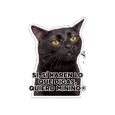 Seguroesporminino Sticker by Minino Plus®