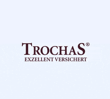 Dortmund Horde GIF by TrochaS