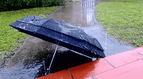 Beach Umbrella Online GIFs - Get the best GIF on GIPHY