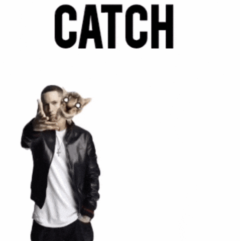 Catch Explode GIF