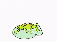Frog Hop GIFs - Get the best GIF on GIPHY