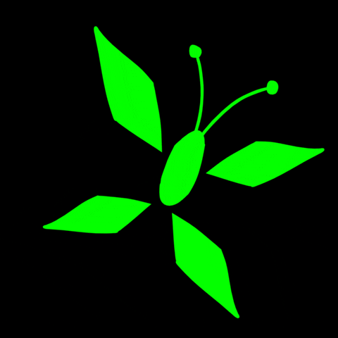 Borboleta GIF