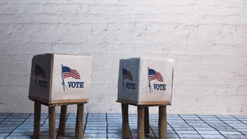 curiousclay vote election voting stop motion GIF
