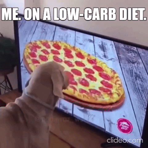 Dog GIF