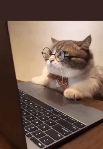giphy.webp
