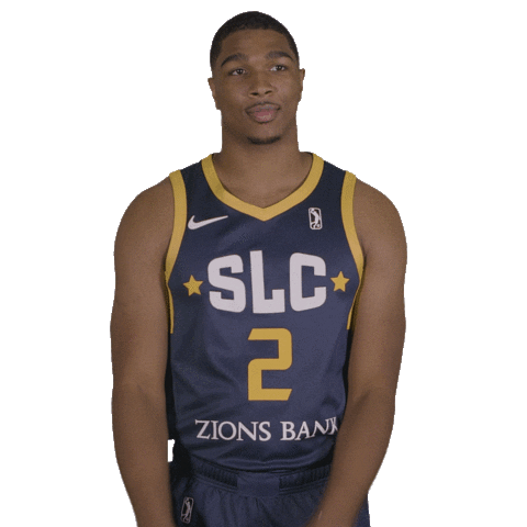 SLC Stars Sticker