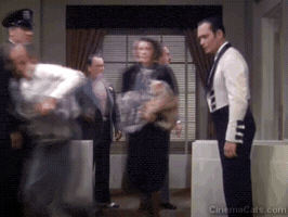 Cat GIF
