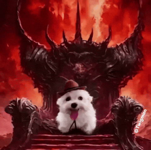 Dog Throne GIF