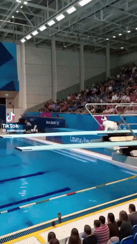 Cat GIF