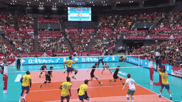 Japan Shall Not Pass GIF by Volleyball World