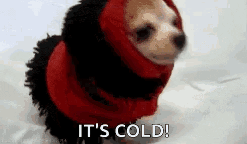 Cold Outside GIFs - Get the best GIF on GIPHY
