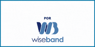 Music Distribution Band GIF by Wiseband