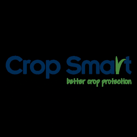 Crop Smart GIF