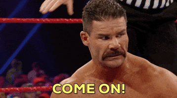 come on seriously GIF by WWE