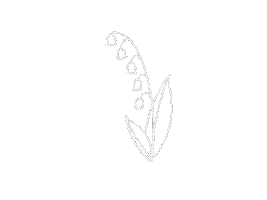 Flowers Lily Sticker