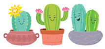 Plants Cactus Sticker by Teacher Created Resources