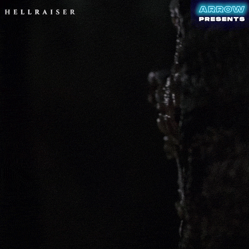Clive Barker Hello GIF by Arrow Video
