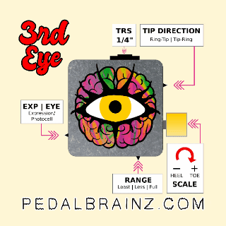 Pedalbrainz GIF