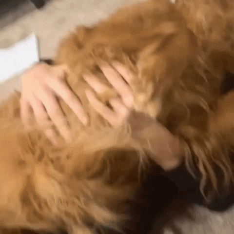 Mya Ruen GIF