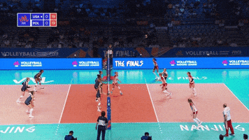 Happy Point GIF by Volleyball World