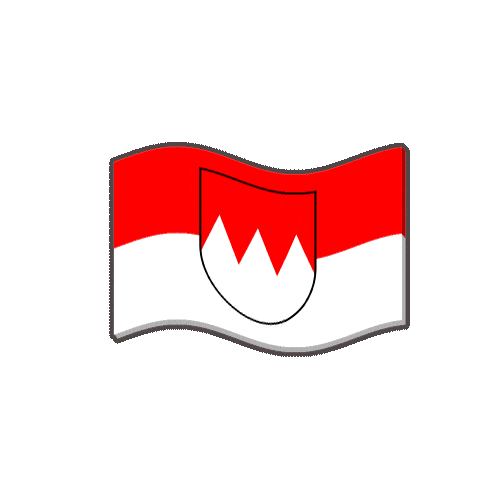VGN Freizeit Sticker