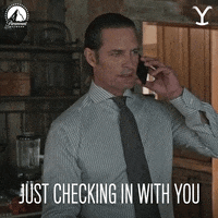 Checking In Whats Up GIF by Yellowstone