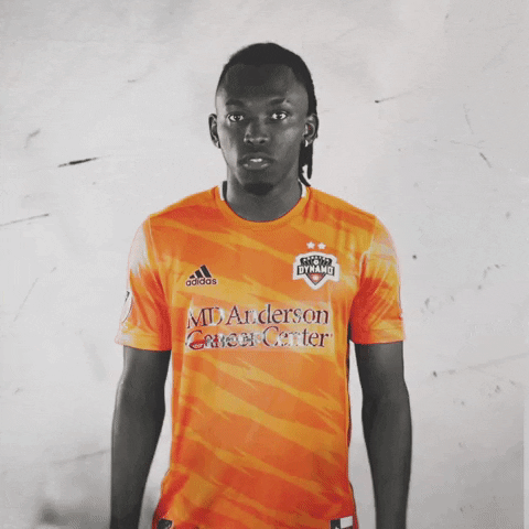 What Is This Mls GIF by Houston Dynamo