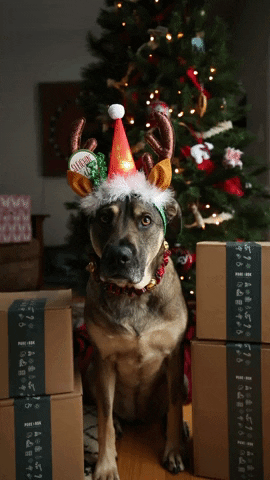 Meta Snark: Weekend of Dec 12-13 : r/blogsnarkmetasnark