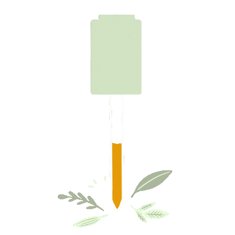 Codex Beauty Sticker