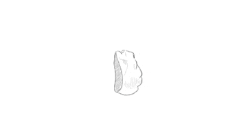 Stone GIF