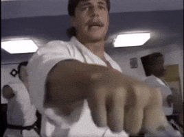 Karate GIF