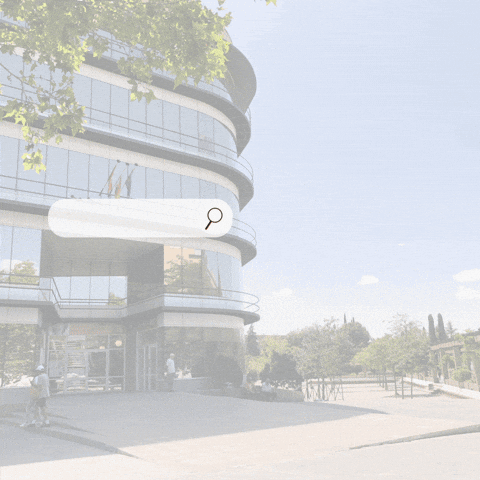 mostoleshoy GIF