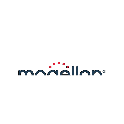Logo Magellan Sticker by amisos medikal