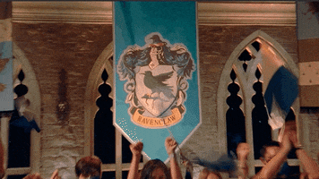 Ravenclaw GIF by TBS Network