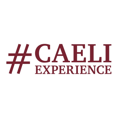 HotelCaeli Sticker