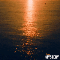Csi Miami Water GIF by ION Mystery