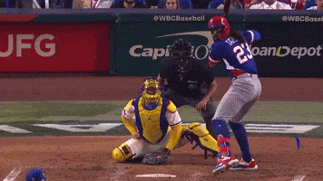 Rd Dominicano GIF