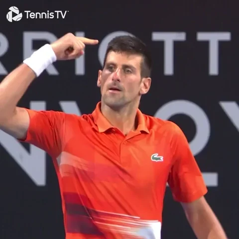 Think Novak Djokovic GIF