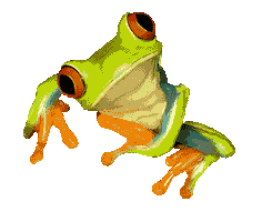 Frog Frosch Sticker by Terrafolio