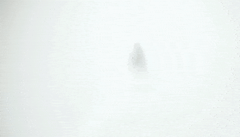 GIF by The Woman in the Yard