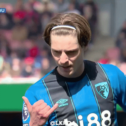 Premier League Football GIF