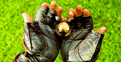 Muggle Quidditch GIFs - Get the best GIF on GIPHY