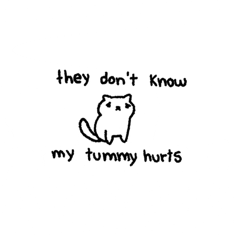 Cat GIF