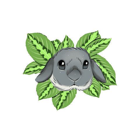 Animated Sticker