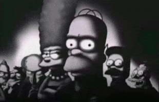 What Is Wrong With You Homer Simpson GIF