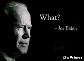 Joe Biden What GIF