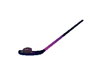Sport Hockey Sticker by MaximBet