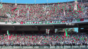 Mouloudia Uttp GIF