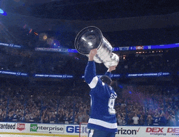 Stanley Cup Sport GIF